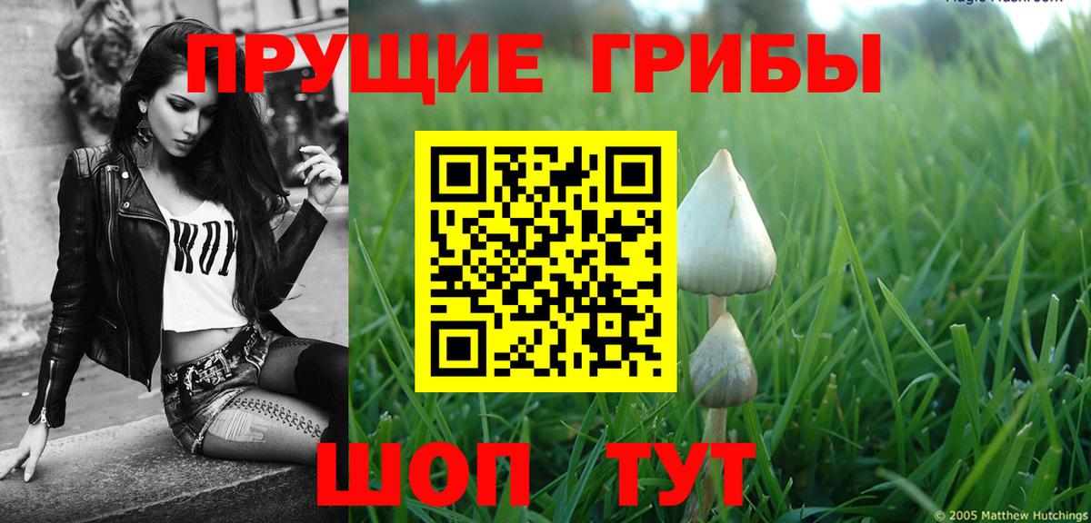 Вятские Поляны  Псилоцибиновые грибы Magic Shrooms  Вход с VPN 