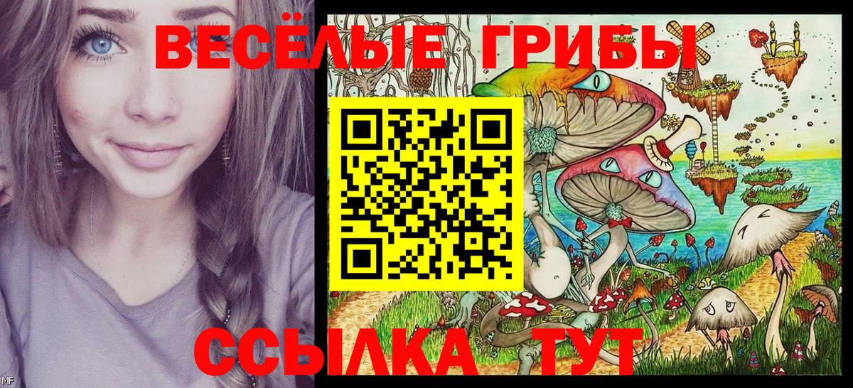Галлюциногенные грибы прущие грибы Вятские Поляны