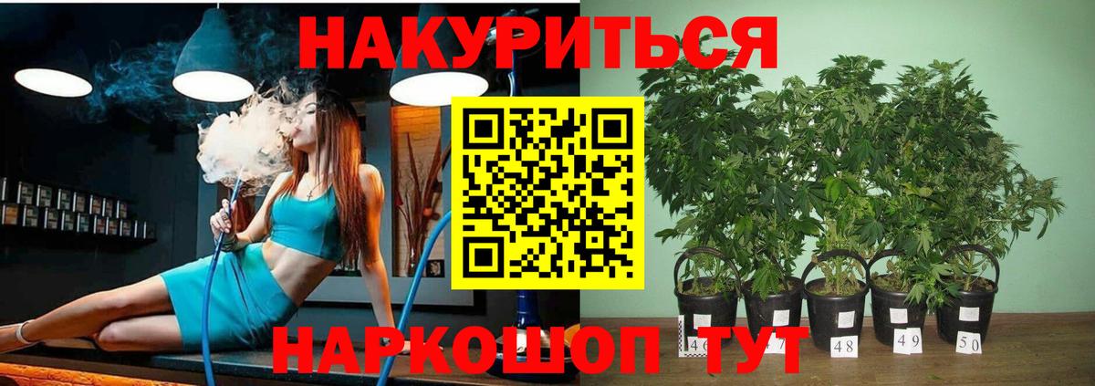 Канабис план Вятские Поляны